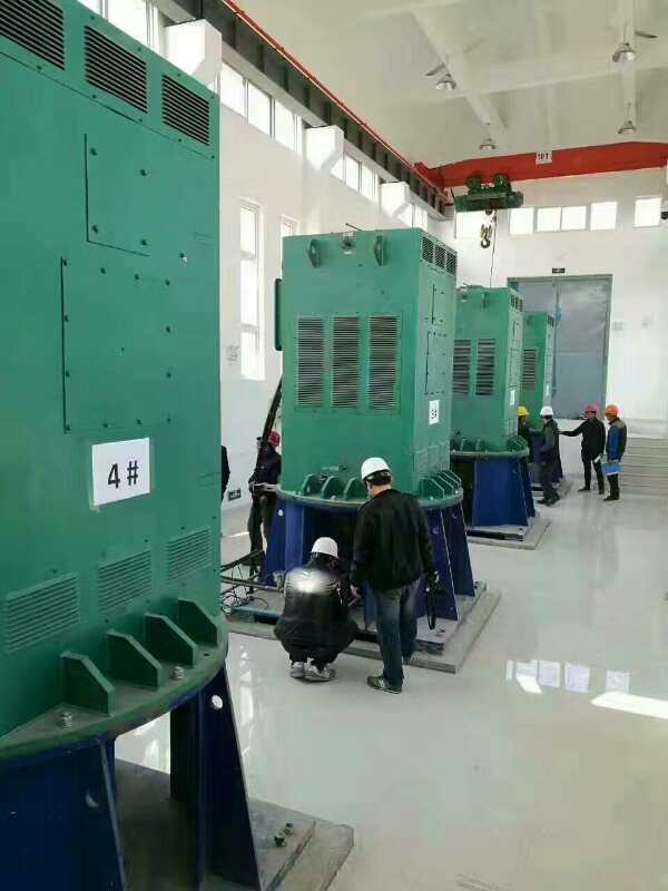 新津某污水处理厂使用我厂的立式高压电机安装现场