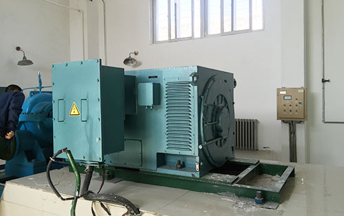 新津某水电站工程主水泵使用我公司高压电机