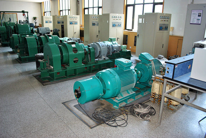 新津某热电厂使用我厂的YKK高压电机提供动力